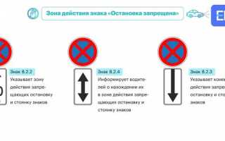 Как правильно парковаться перед знаком остановка запрещена