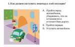 Как правильно голосовать на дороге