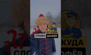 Шофер откуда произошло это слово