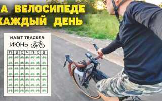 Что будет если кататься на велосипеде каждый день