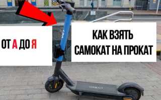 Самокаты в барнауле напрокат как взять