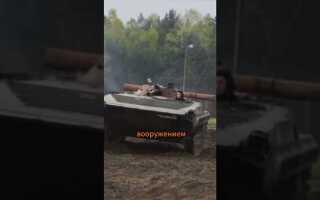 В чем разница между бмп и бмд