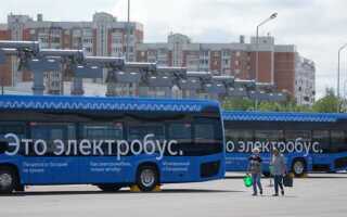 Сколько электробусов в москве сегодня