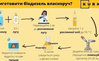 Какое растение позволяет получить биодизель