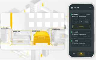 Smart parking pandora что это такое