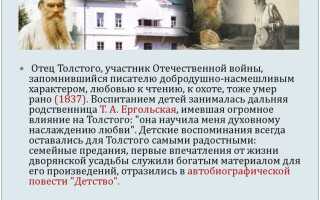 Что считает толстой движущей силой истории