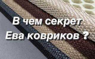 Ворсовые коврики или ева что лучше