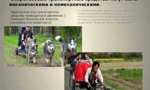 Что такое тяжеловесное транспортное средство