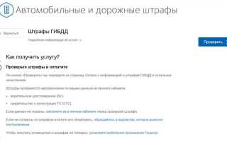 Почему на госуслугах не отображаются штрафы гибдд
