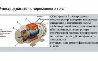 Что такое якорь в электродвигателе