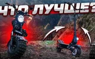 White siberia или skyboard что лучше