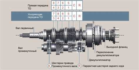 5 и 6 разряд кпп 01 что это