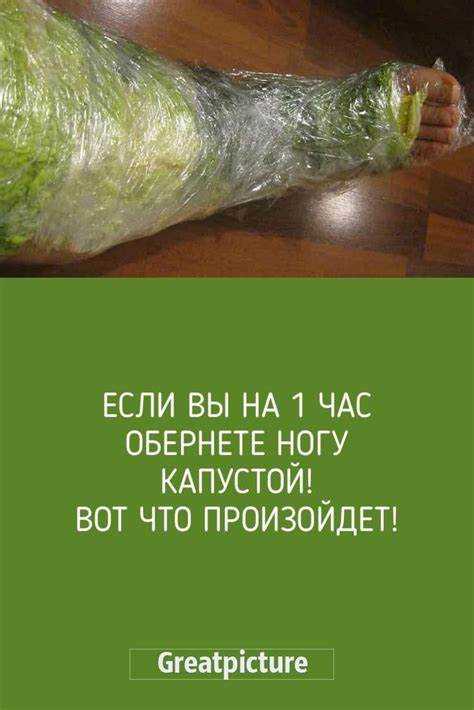 Что может стучать под капотом Что может стучать под капотом