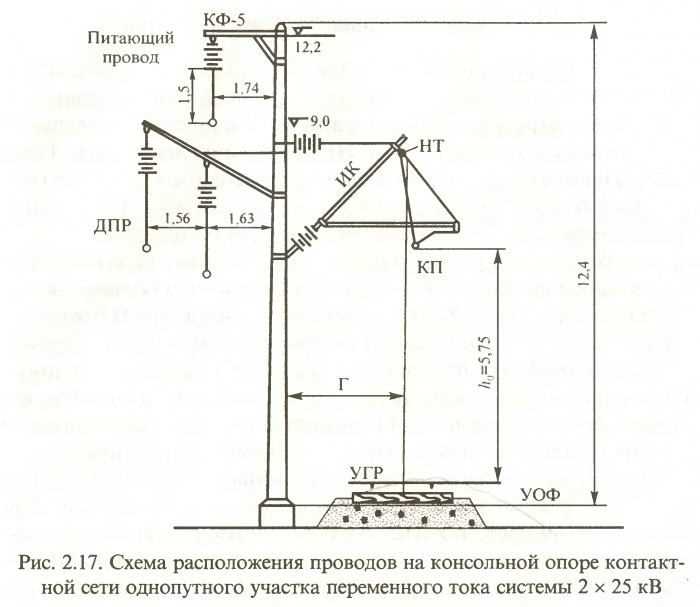 Что делать, если кот сопротивляется или проявляет агрессию