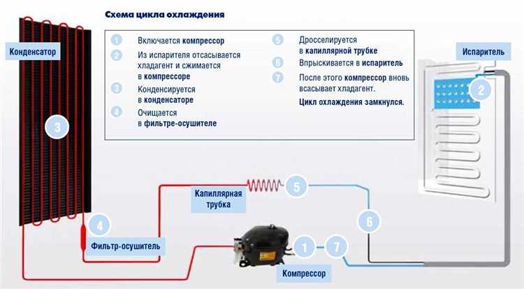 Сколько времени нужно выдержать холодильник перед первым запуском