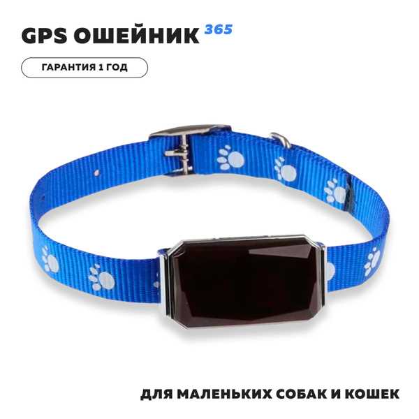 Какой пароль у трекера gps 365
