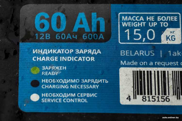 Как выбрать подходящее зарядное устройство для первого цикла