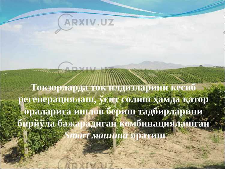 Как использовать классификаторы RMS для группировки схожих товаров