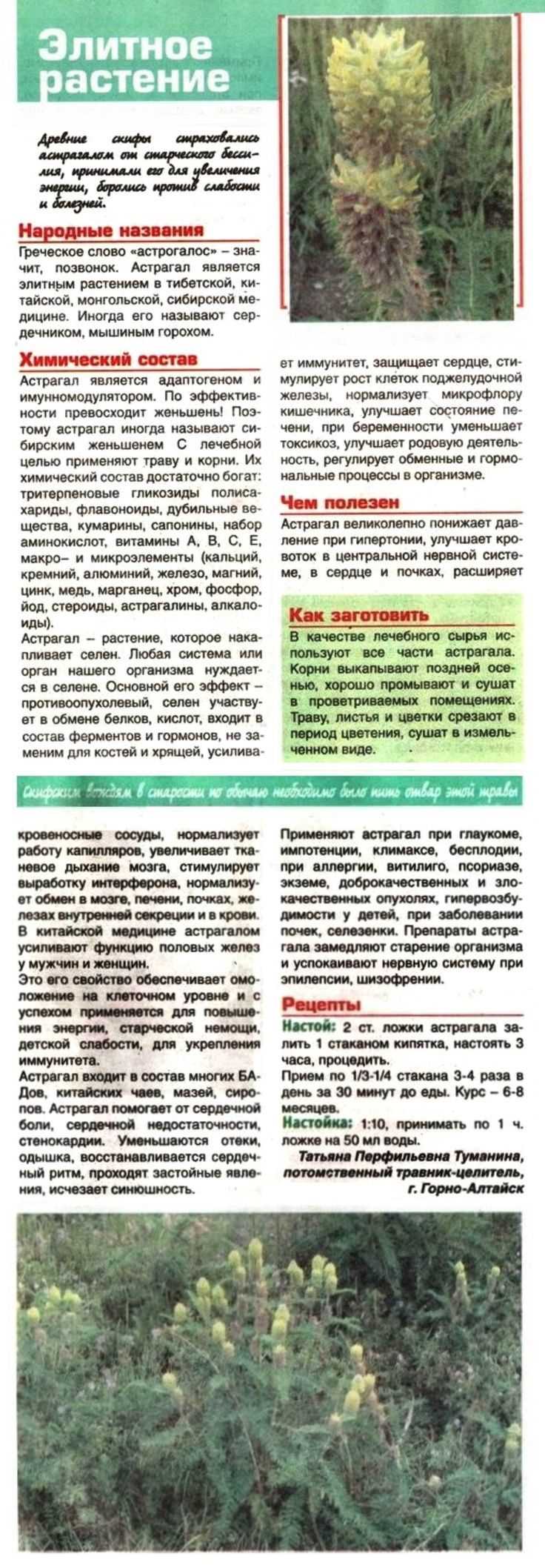 Максимальная скорость заводских моделей Урал и Днепр