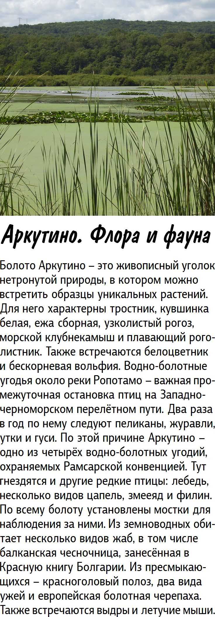 Роль аэродинамики в достижении предельной скорости
