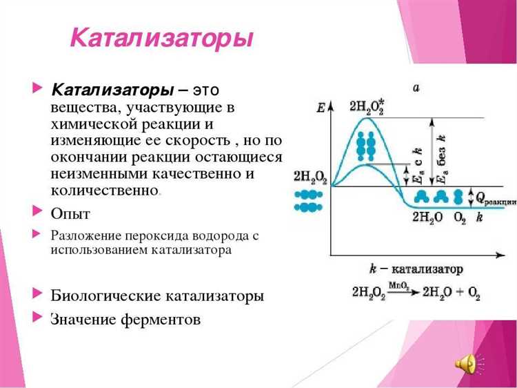 Подготовка образцов катализатора перед проведением измерений