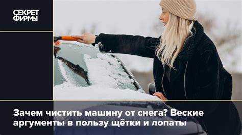 Какие материалы щеток царапают лакокрасочное покрытие