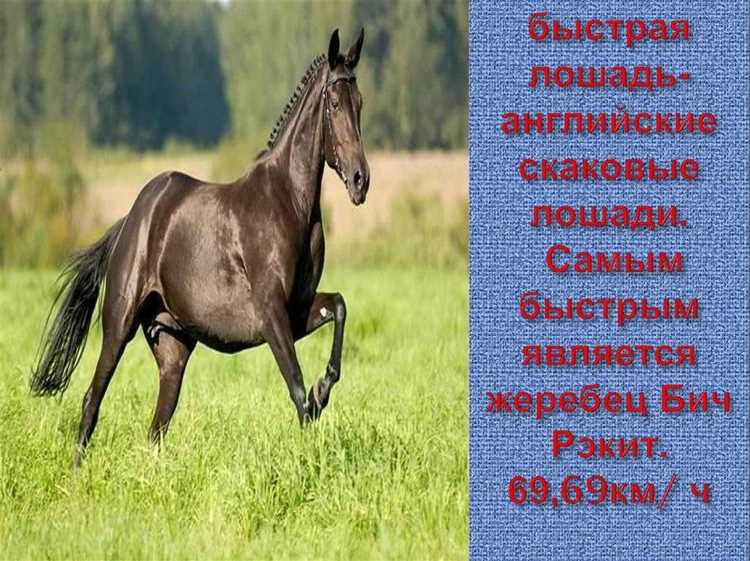 Роль трансмиссии и передаточных чисел в разгоне до максимальной скорости