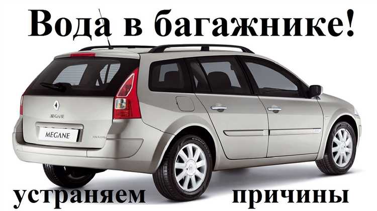 Какие погодные условия ускоряют накопление воды в багажнике