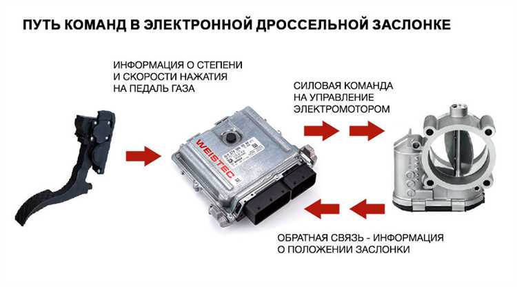 Методы очистки заслонки без демонтажа и их ограничения