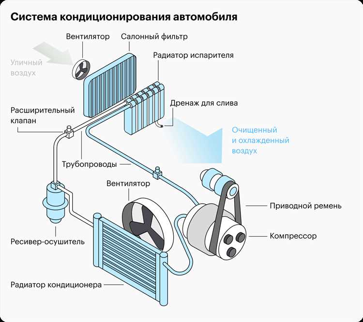 Какой тип салонного фильтра выбрать: угольный, антиаллергенный или стандартный