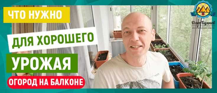 Как проверить написание слова 