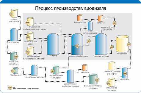 Сравнение скорости роста и урожайности масличных растений