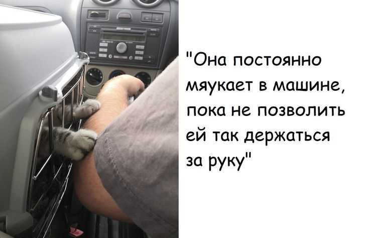 Как аккуратно открепить обшивку от металлического каркаса двери