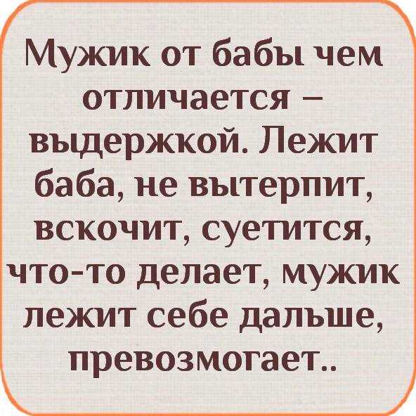 Male и man в чем разница