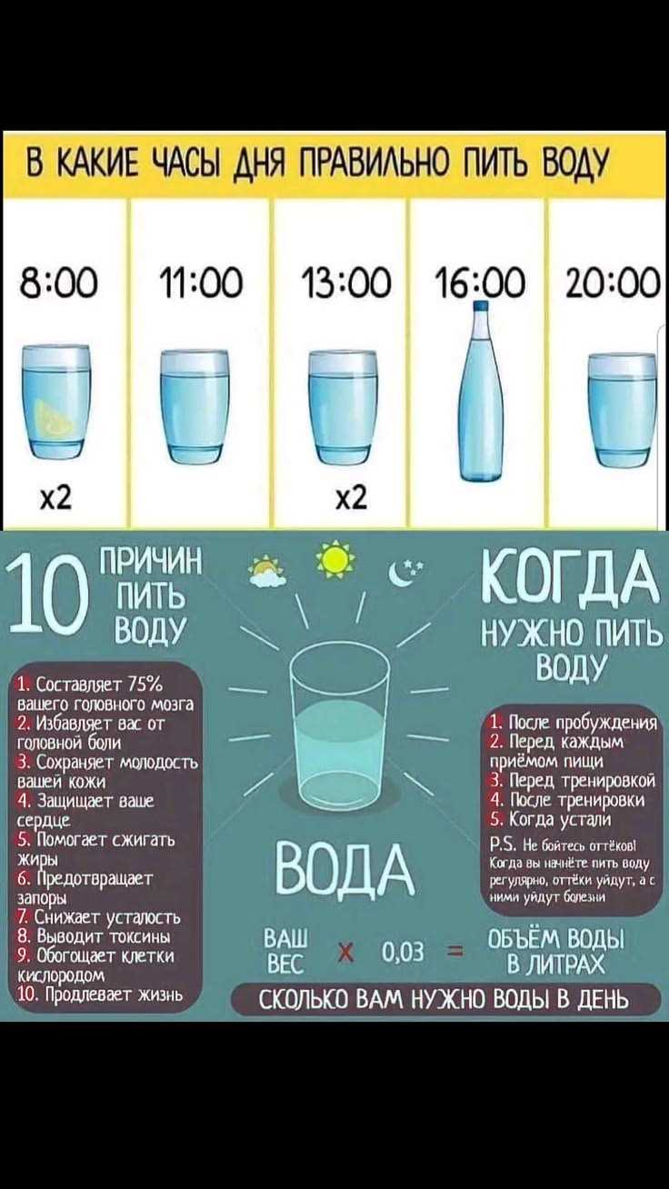 Что весит больше: литр воды или масла – сравнение плотности